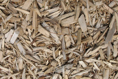 biomass boilers Bolenowe